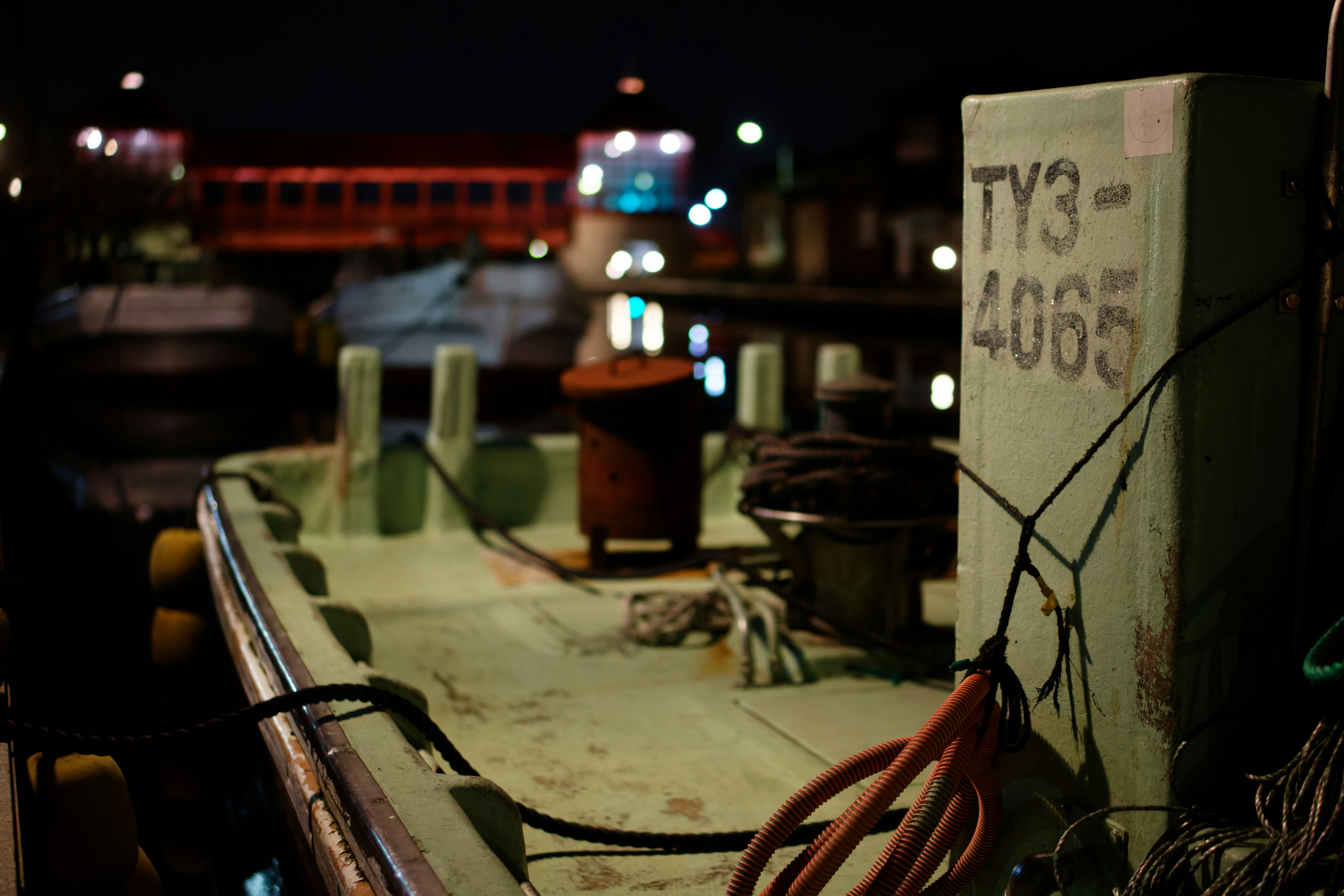 Night Squid Fishing – Lights & Fresh Sashimi